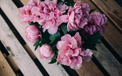 1147923 (a): :2560x1600